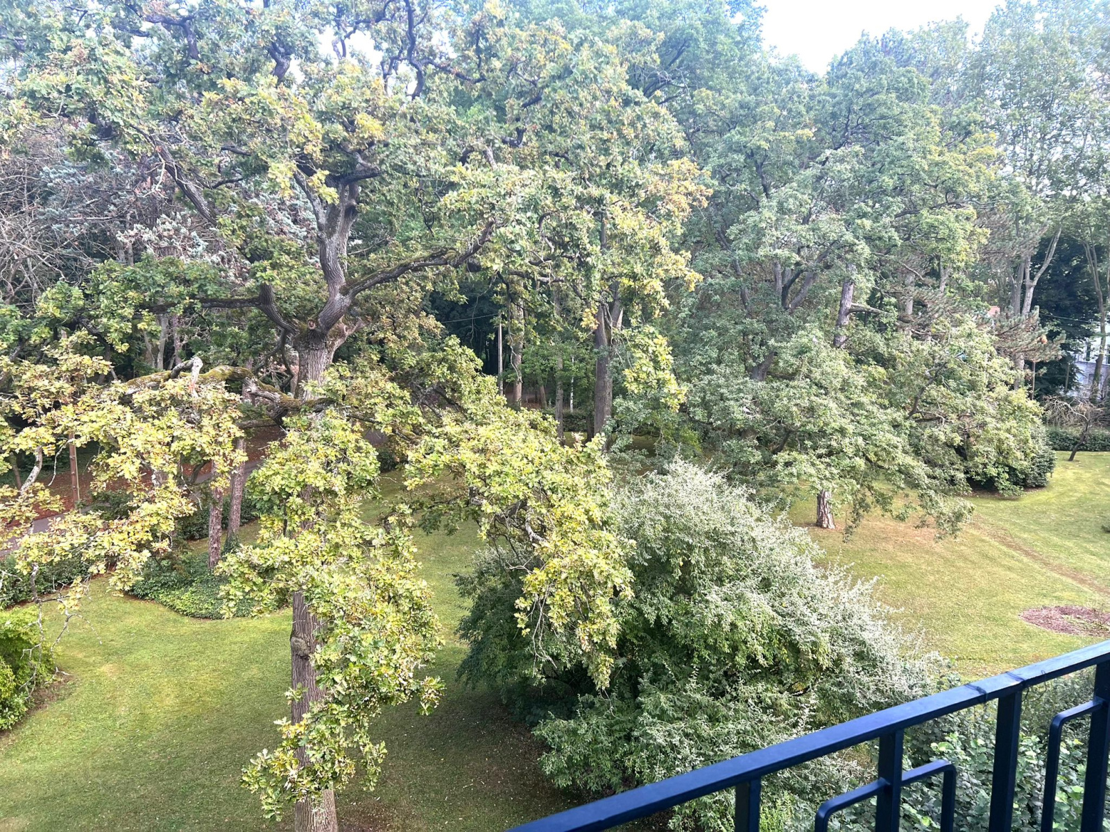 Image_17, Appartement, Maisons-Laffitte, ref :16