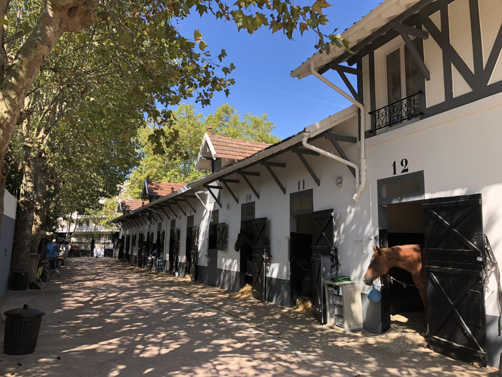 Image_1, Appartement, Maisons-Laffitte, ref :136